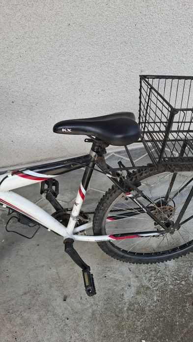 Bicicleta adulți