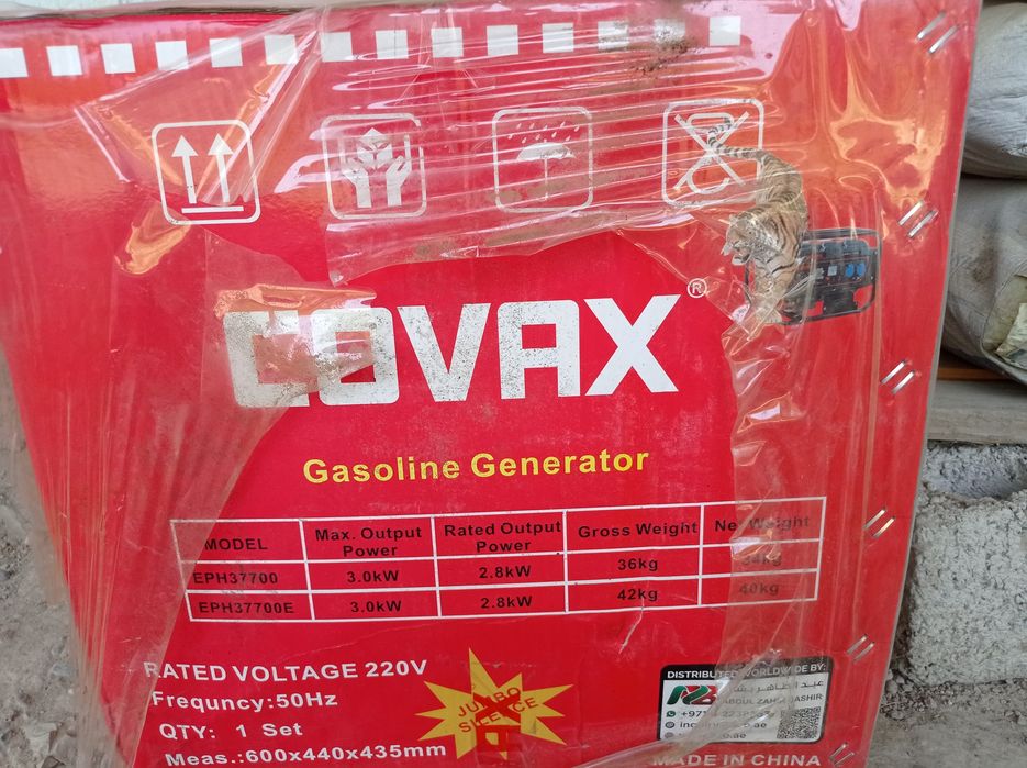 Gasoline Generator