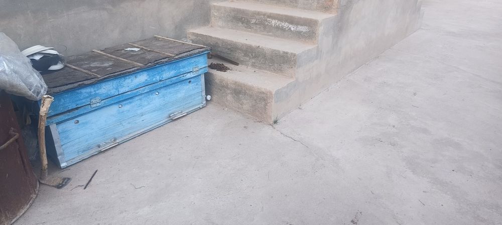 Асалари уйалари сотилади