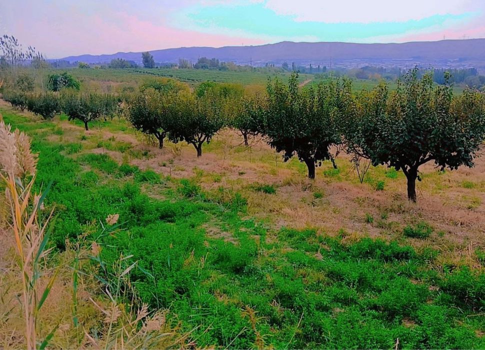 Бог сотилади 1г кадастр килинган номингизга утади