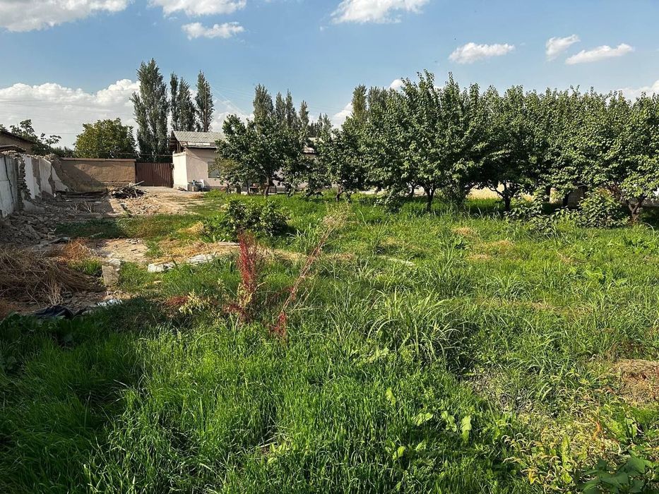 Продаётся земельный участок Дурмень, Аргин, Кибрайский район