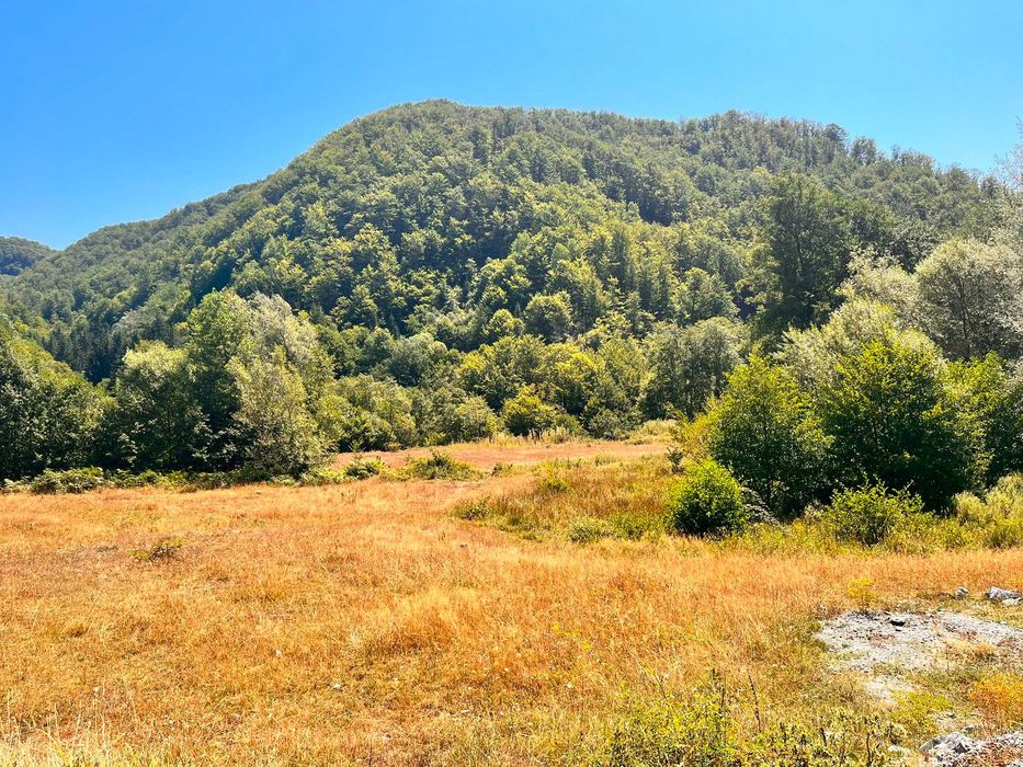 Teren de Vânzare - Valea Mare, com. Padeș, Gorj