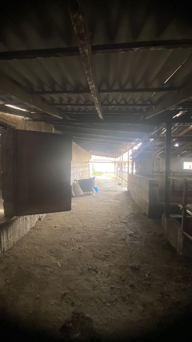 Сдаётся в аренду