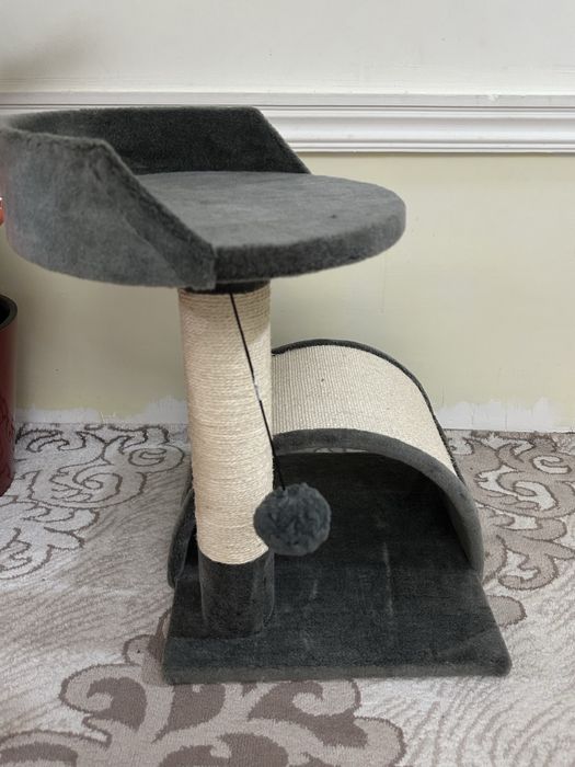 Домик для кошки НОВЫЙ и когтеточка