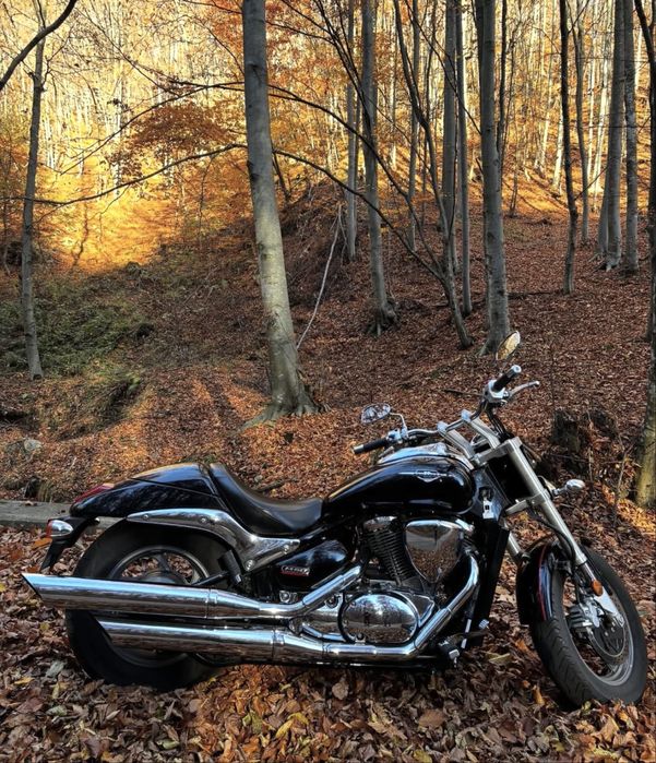 Suzuki Intruder/Boulevard M50 800cc