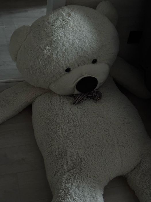 Плюшевый медведь