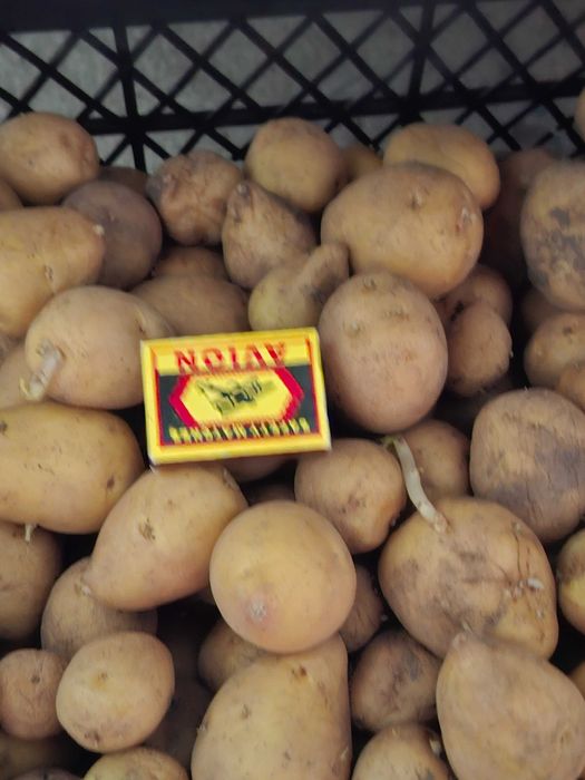 Продам картофель мелкий
