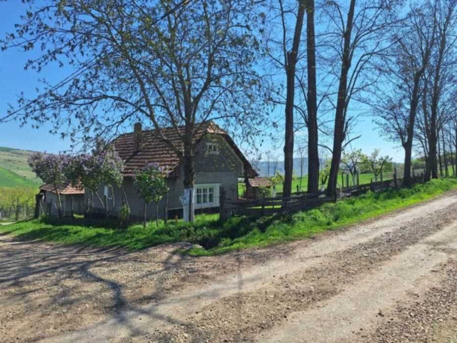 Vând sau schimb cu garsoniera casă în Ceanu Mare(Valea lui Cati)