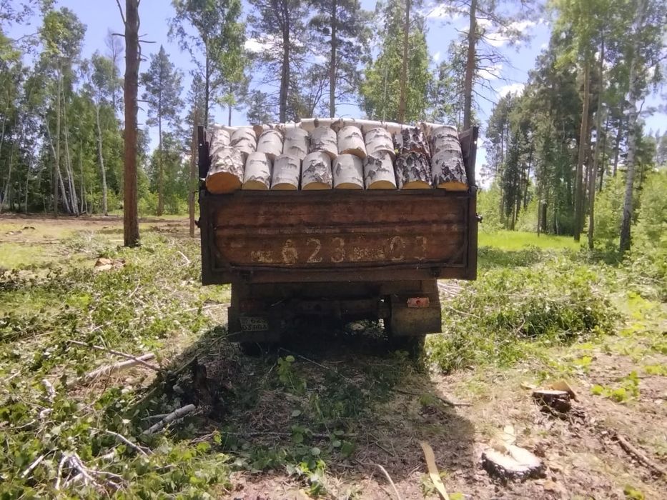 Продам дрова разные.Это пример загрузки есть разные