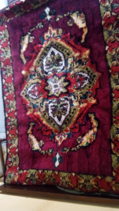 китеници - нови