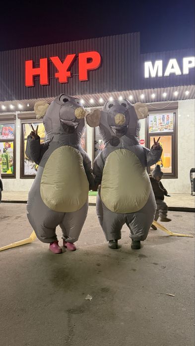 Воздушный костюмы на Прокат