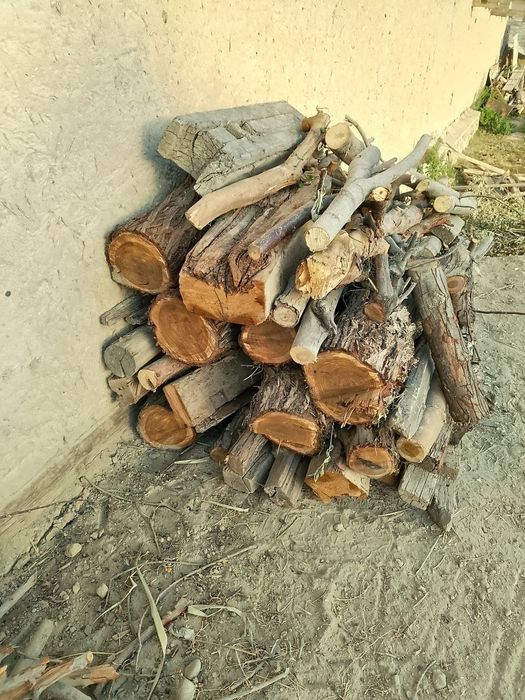 Kunda sotiladi tez va arzon