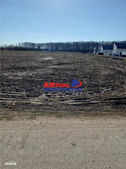 Vanzare Teren-8100mp-Domnesti -Teghes