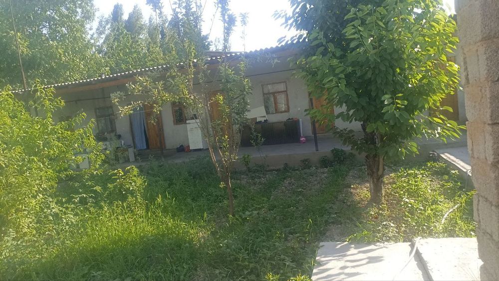 Хамма дакумент бор