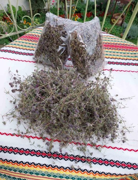 Домашно приготвен