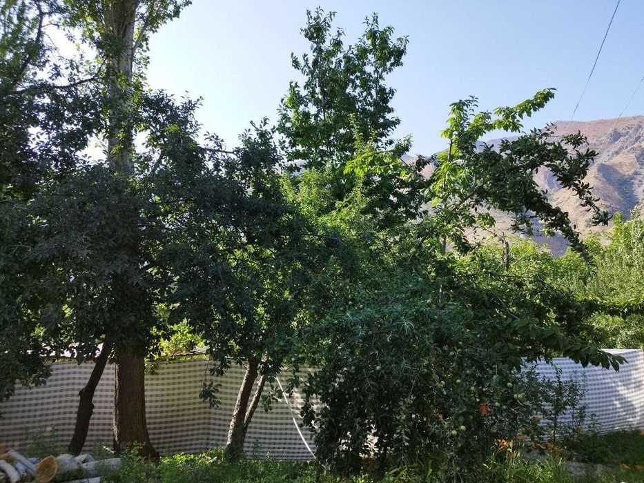 Продается дача 6 сот в горах {Нанай}