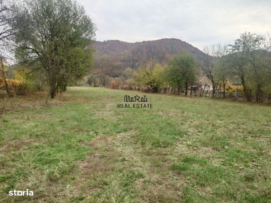 Teren intravilan 2500mp Criscior