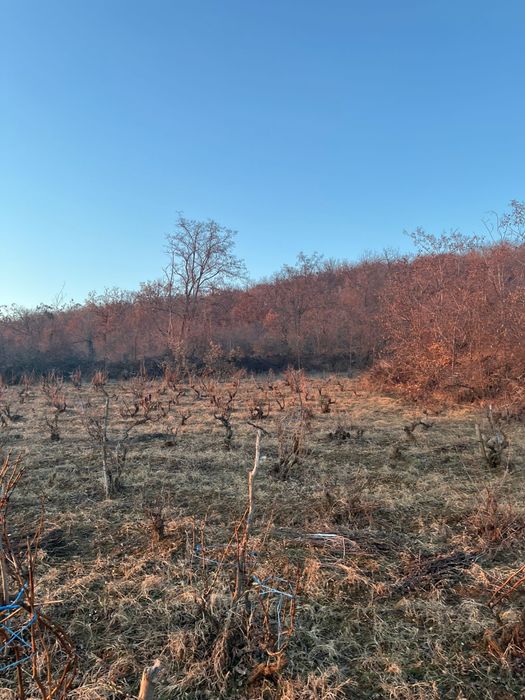 Продава се Земеделски имот в с. Преображенци, Област Бургас за 3750 €/дка - Снимка #1