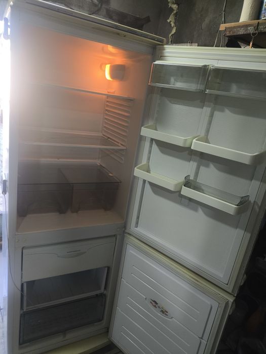 Атлант высота 1,7м