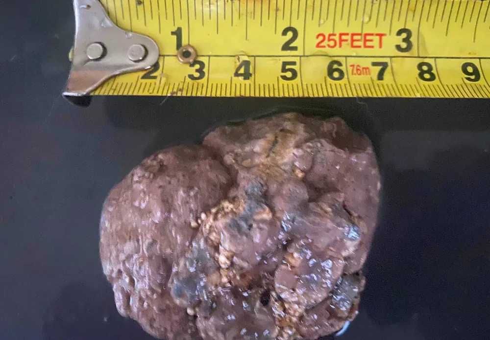 Thunderegg Oregon SUA 3 agate