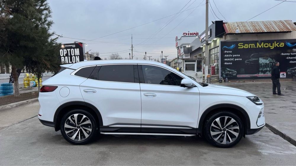 Byd chempion gibrid 2 pozitsiya