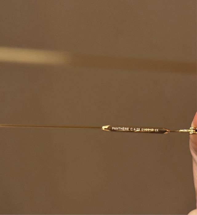 Слънчеви очила Eyepetizer PANTHERE