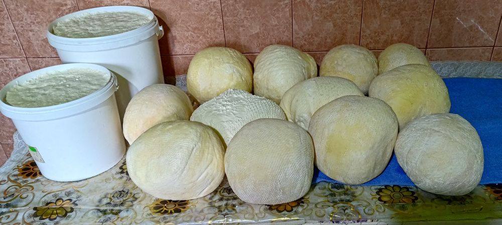 Vand branza de la vaci casi proaspeti  lapte dulce si branza de oaie