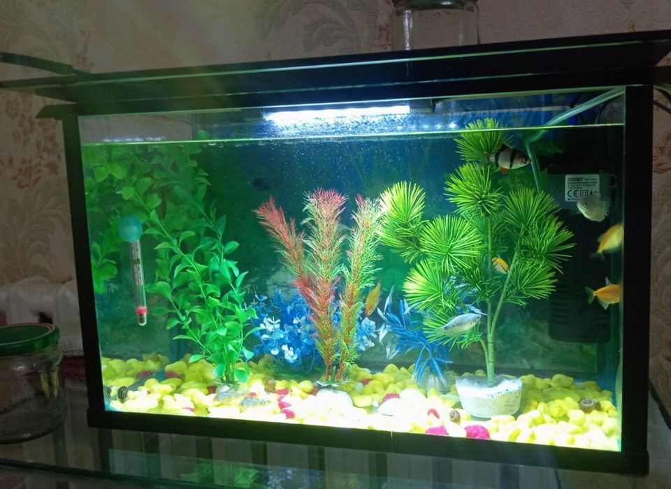 Аквариум 35-100 л / akvarium 35-100 l