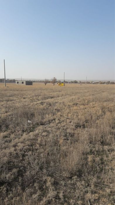 Земля заречный 24сотки торг