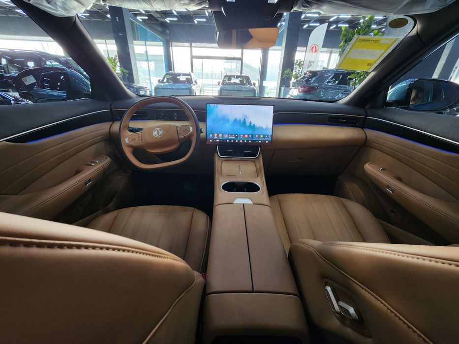 Domg feng L8 185 plus