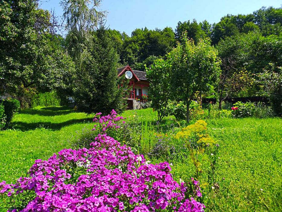 Casa traditionala si teren, zona insorita langa Campina