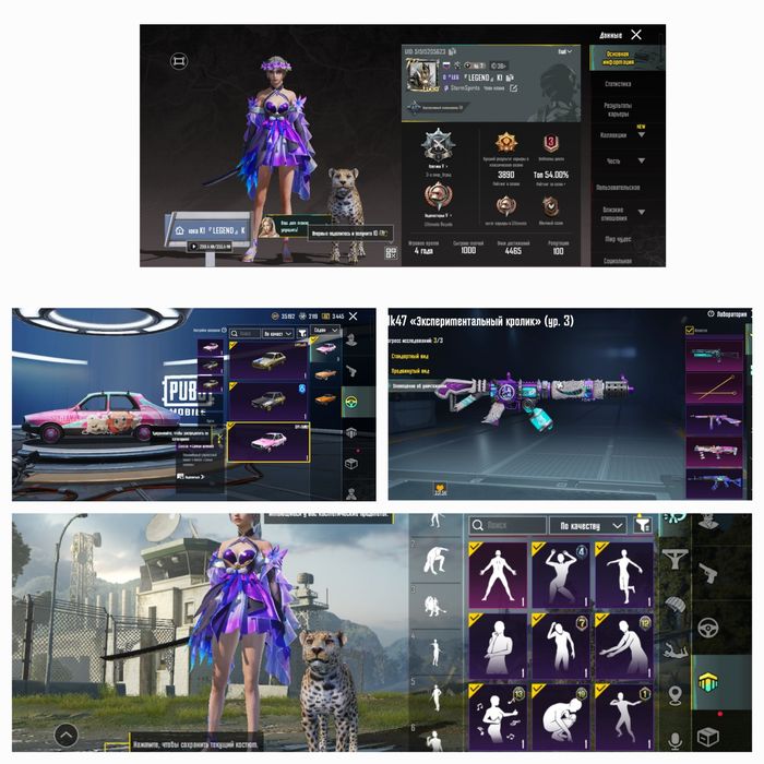 Аккаунт Пабг мабаел