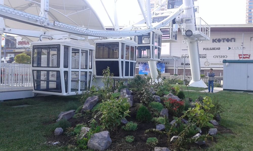 Рулонный газон, газон под ключ