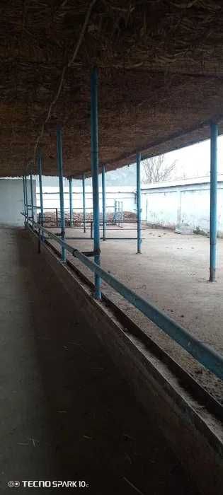 СРОЧНО Фоод сити якинида  25 сотихли ферма сотилади, Урта Чирчик, 0837