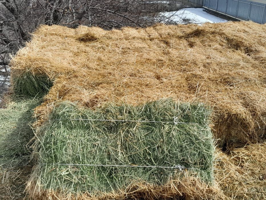 Продам тюки люцерну.