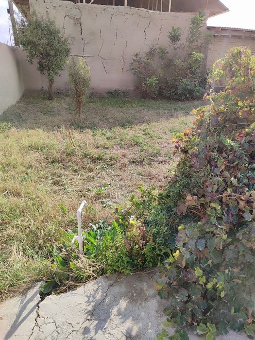 Dala hovli sotiladi dacha vasxodda boylashgan