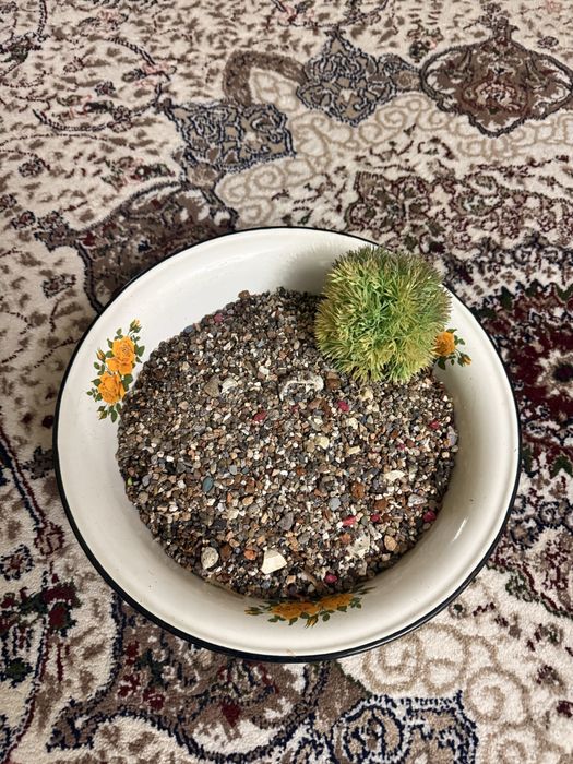 Прдпется акаримумный грунт чистый