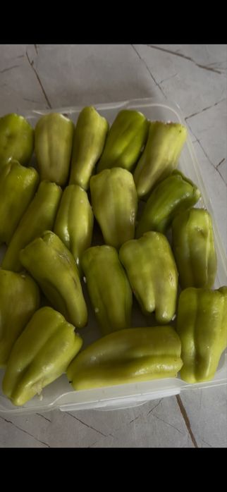 полуфабрикат өнімдерін сатам