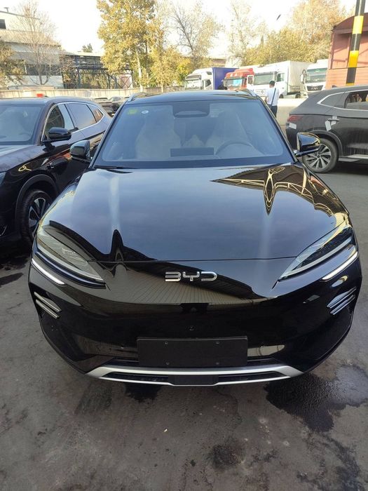 Byd champion smart 2026 model