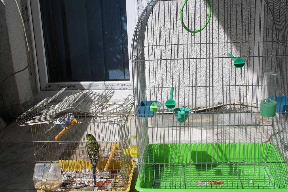 Клетка за  птици  Голяма !  XL папагали 1 или няколко броя птици