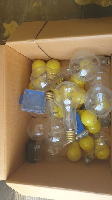 Електрически крушки