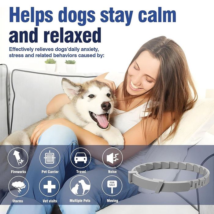 Успокояващ нашийник за кучета – Calming Collar