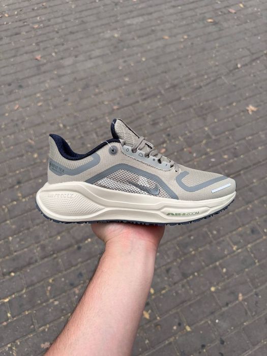 Nike pegasus 41 gore-tex