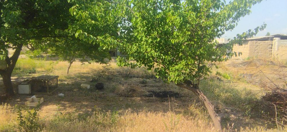 Yer sotilladi 5 sotix 2 sotixini xam soturaman