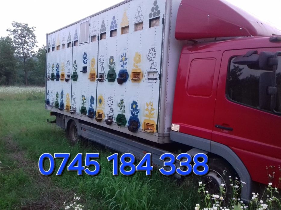 Mercedes atego stupina