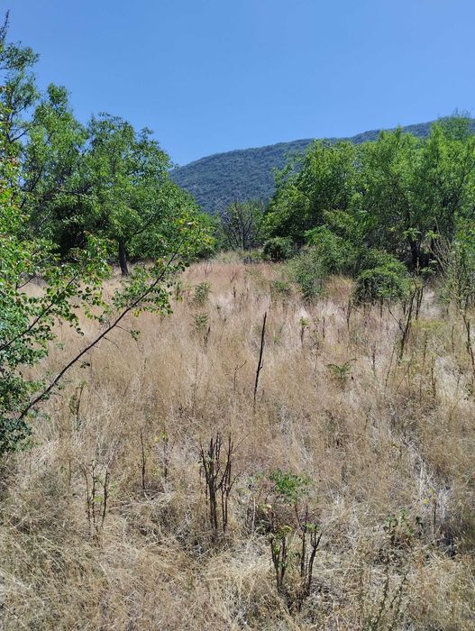 Продава се Парцел в Асеновград - 2201 кв.м за 28 €/кв.м - Снимка #3