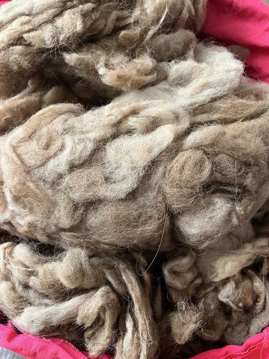 Шерсть верблюжья