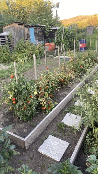 Продам хорошую дачу