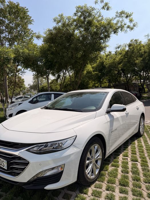 Malibu 2 primer 2022/2023