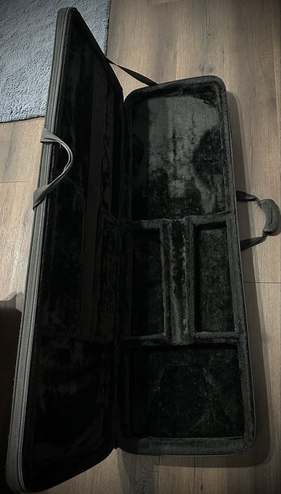 Gator case / chitara / bass